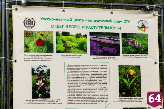 В Саратове продолжается реконструкция Ботанического сада 